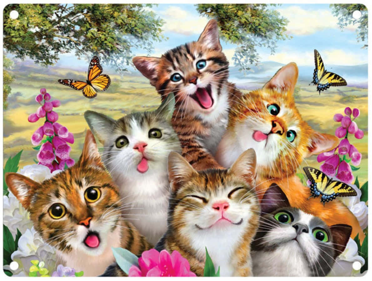 Cute Funny Cats Butterflies Picture