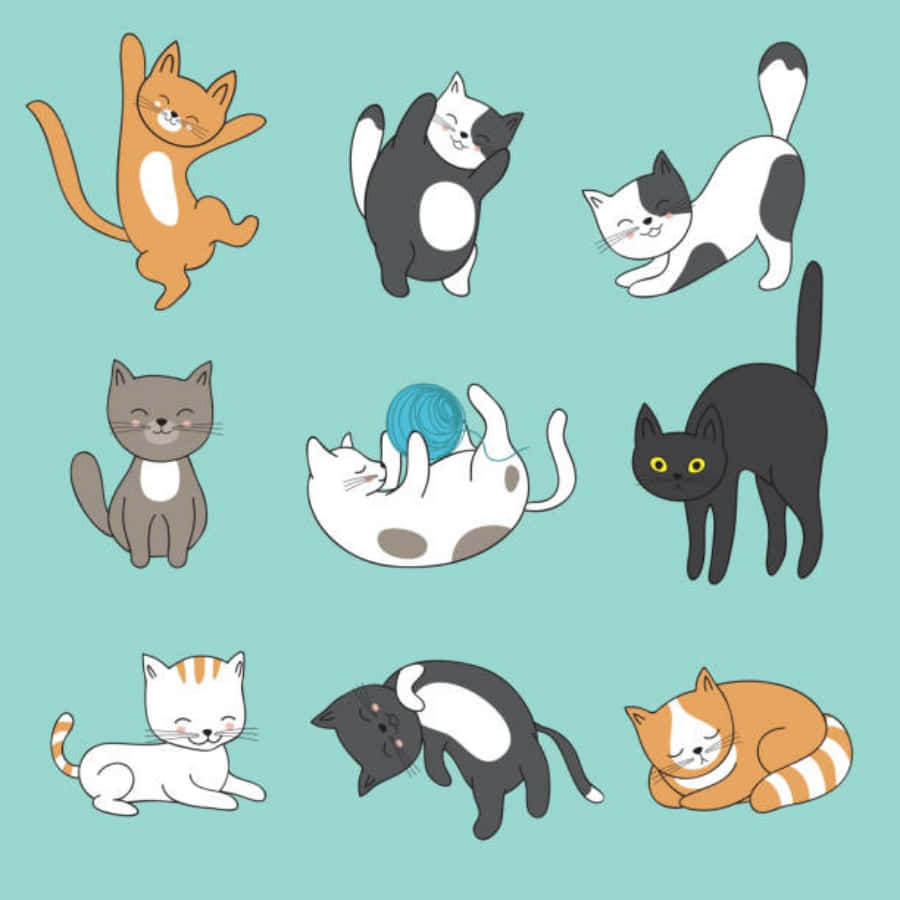Cute Funny Cats Illustration Picture