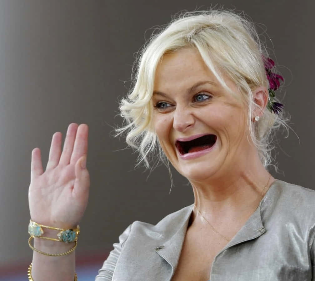 Amy Poehler Funny Celebrity Pictures