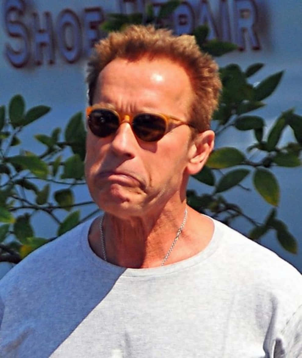 Arnold Schwarzenegger Funny Celebrity Pictures