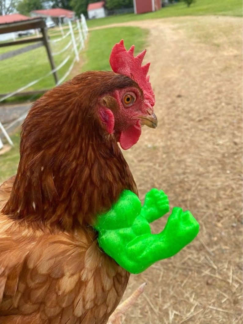 Funny Chicken Hulk Arm Costume Picture
