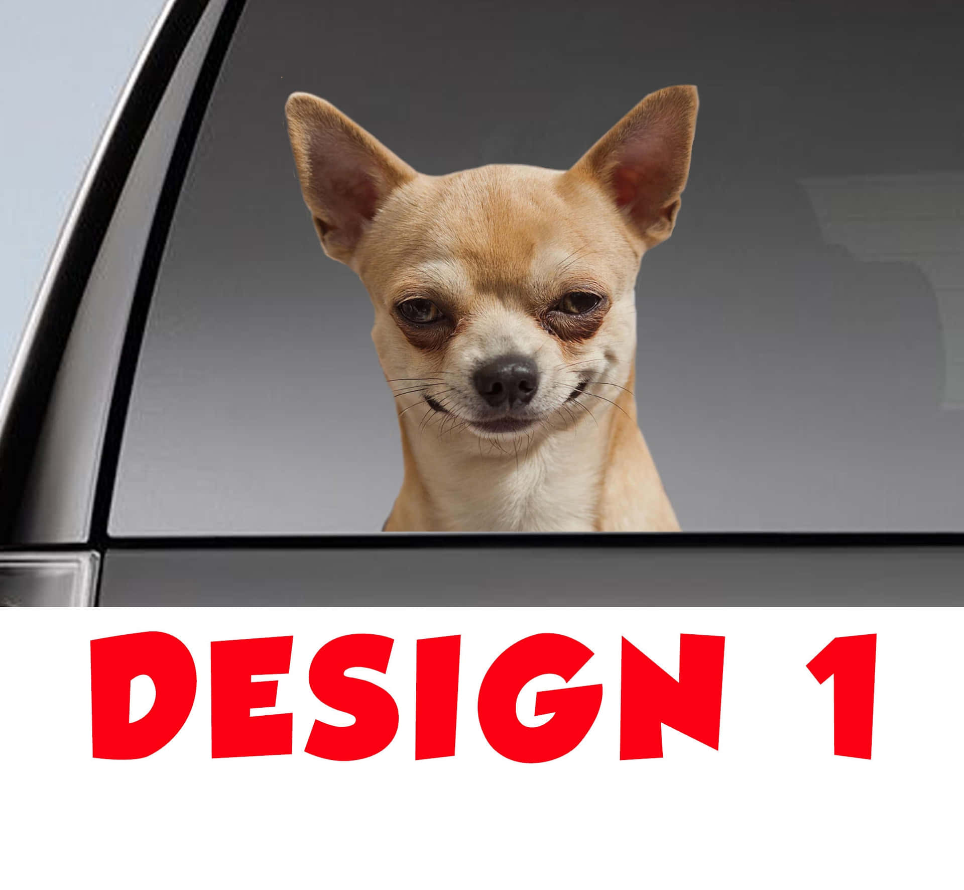 Funny Chihuahua Design Pictures