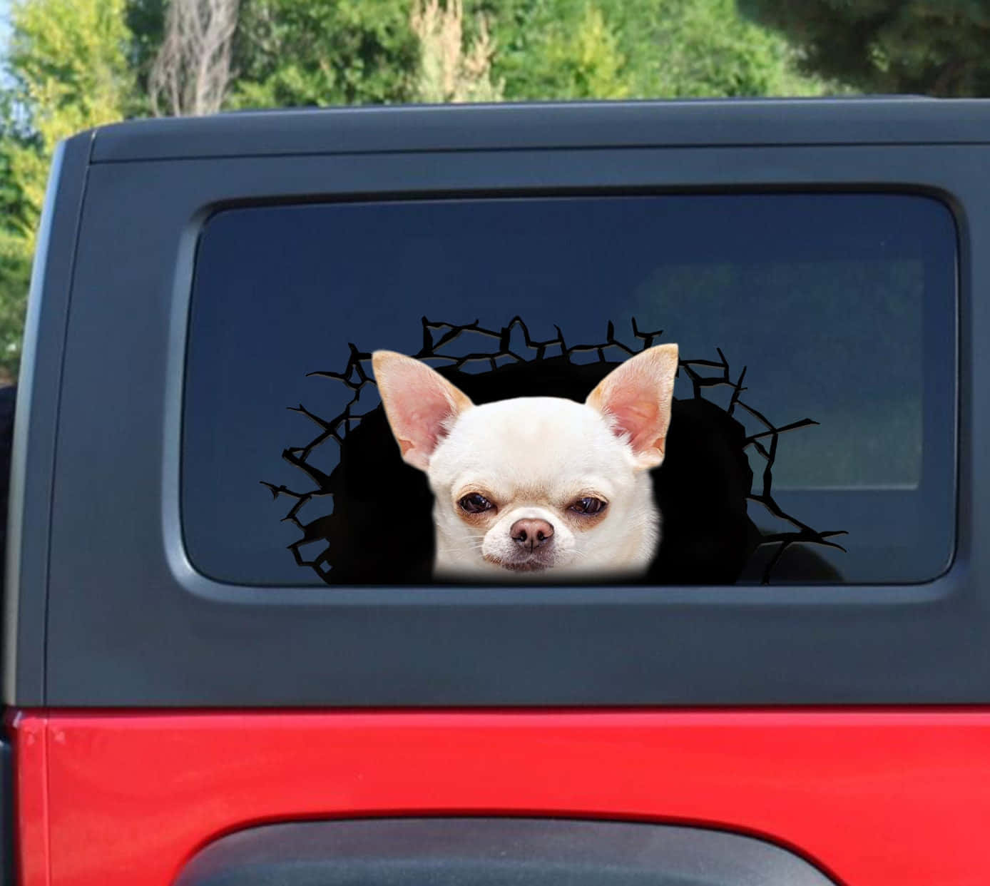 Funny Chihuahua Car Sticker Pictures