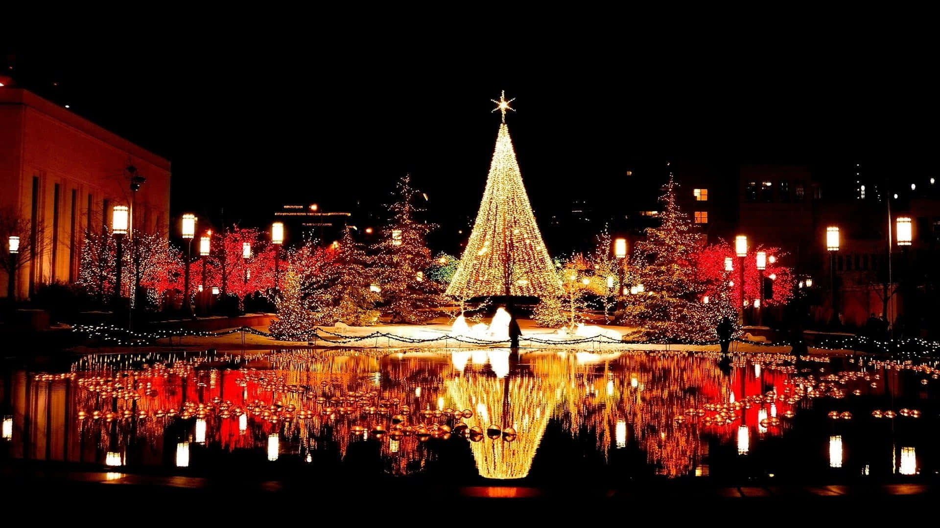 A Christmas Tree Is Lit Up In A Pond