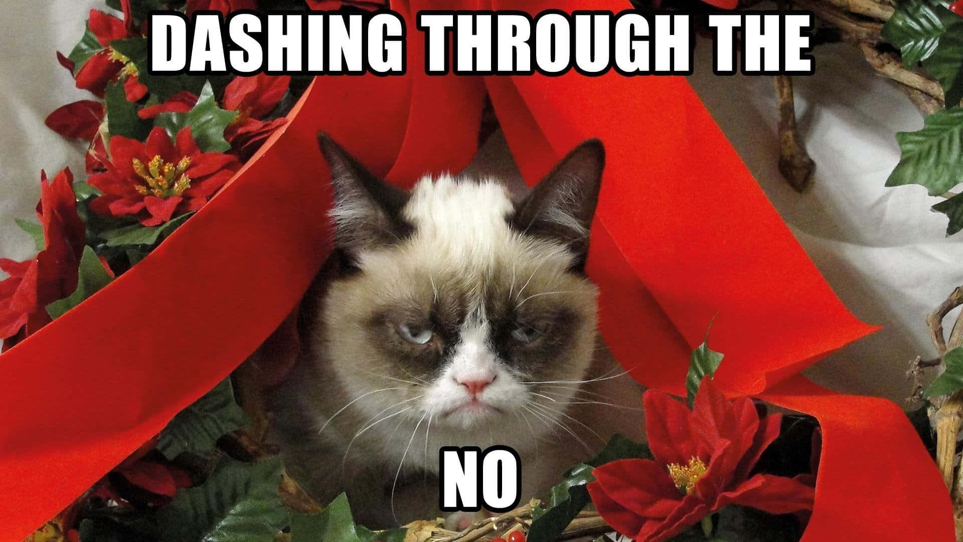 Sfondodivertente Di Natale Per Zoom Con Grumpy Cat.