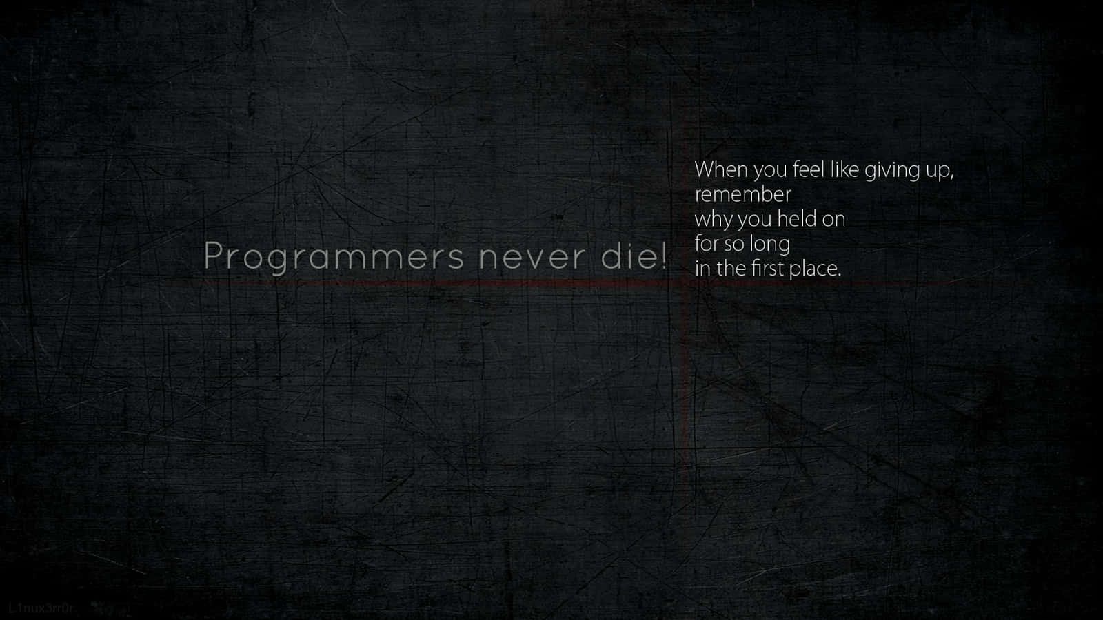 Funny Coding Programmers Never Die Wallpaper