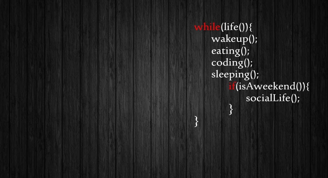 Funny Coding Life Wallpaper
