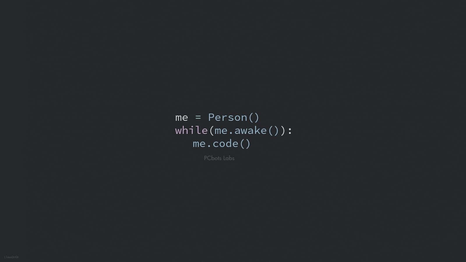 Funny Person Coding Wallpaper