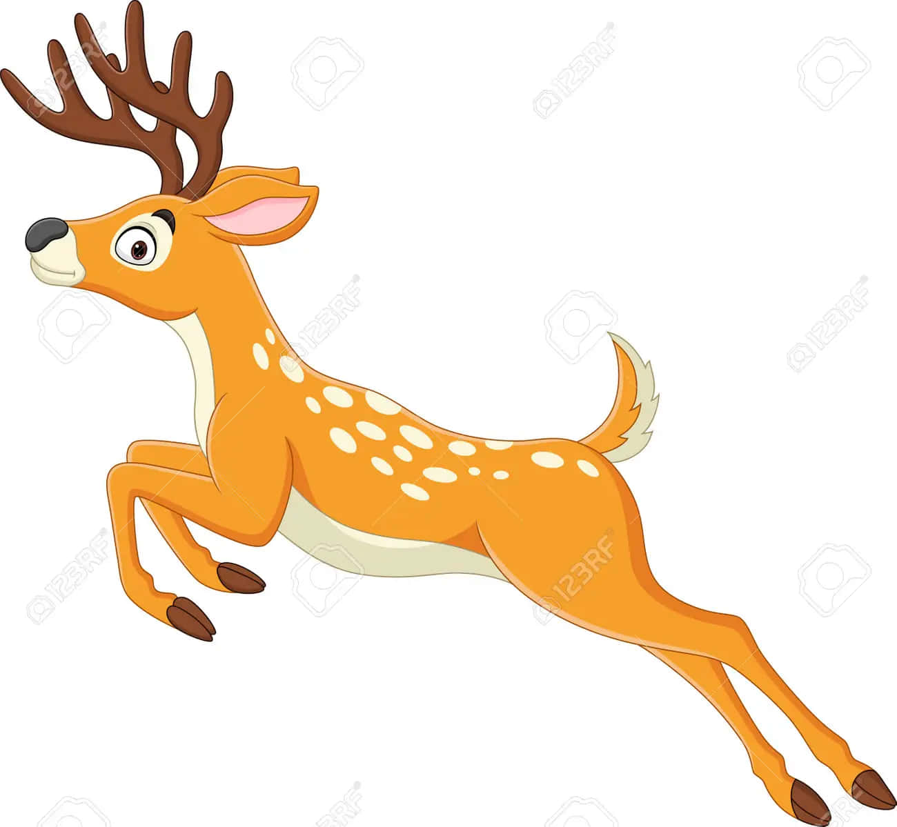 Download Funny Deer Pictures 1300 x 1199 