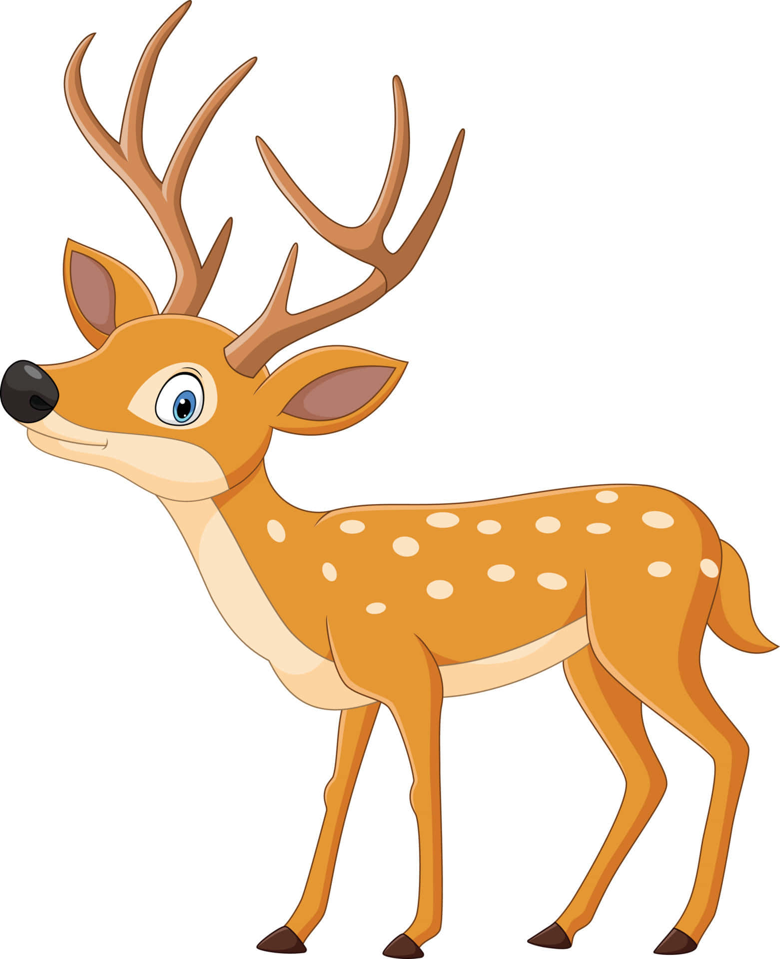 Funny Deer Cartoon On White Picture