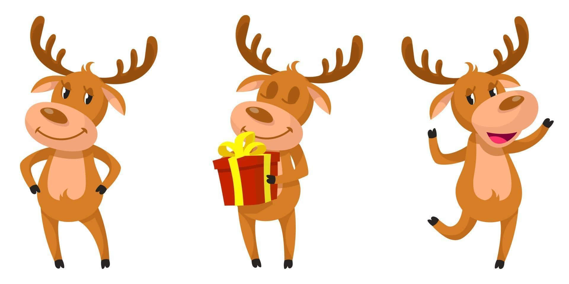 Funny Deer Cartoon With Gift Picture