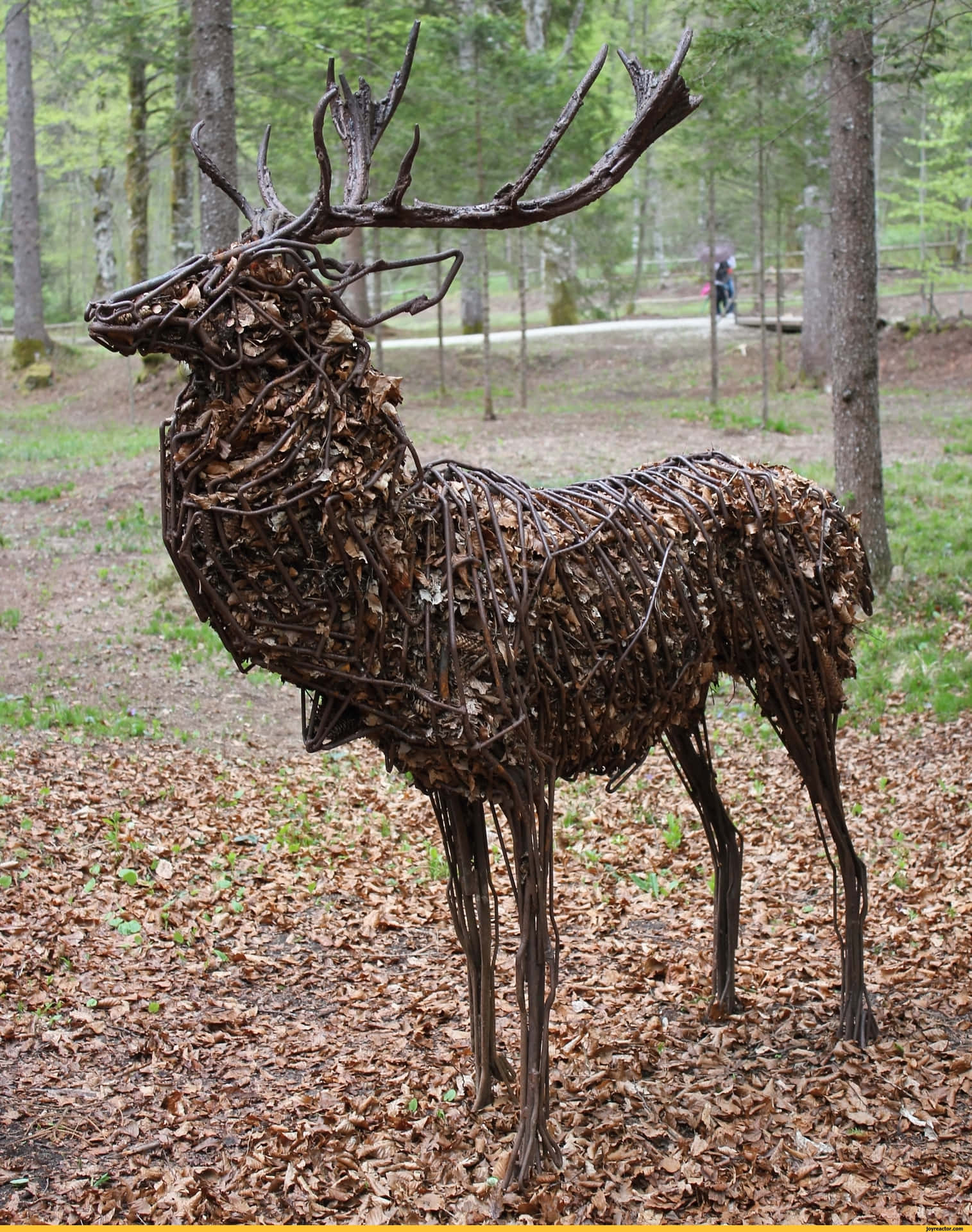 Funny Deer Stem Sculpture Picture