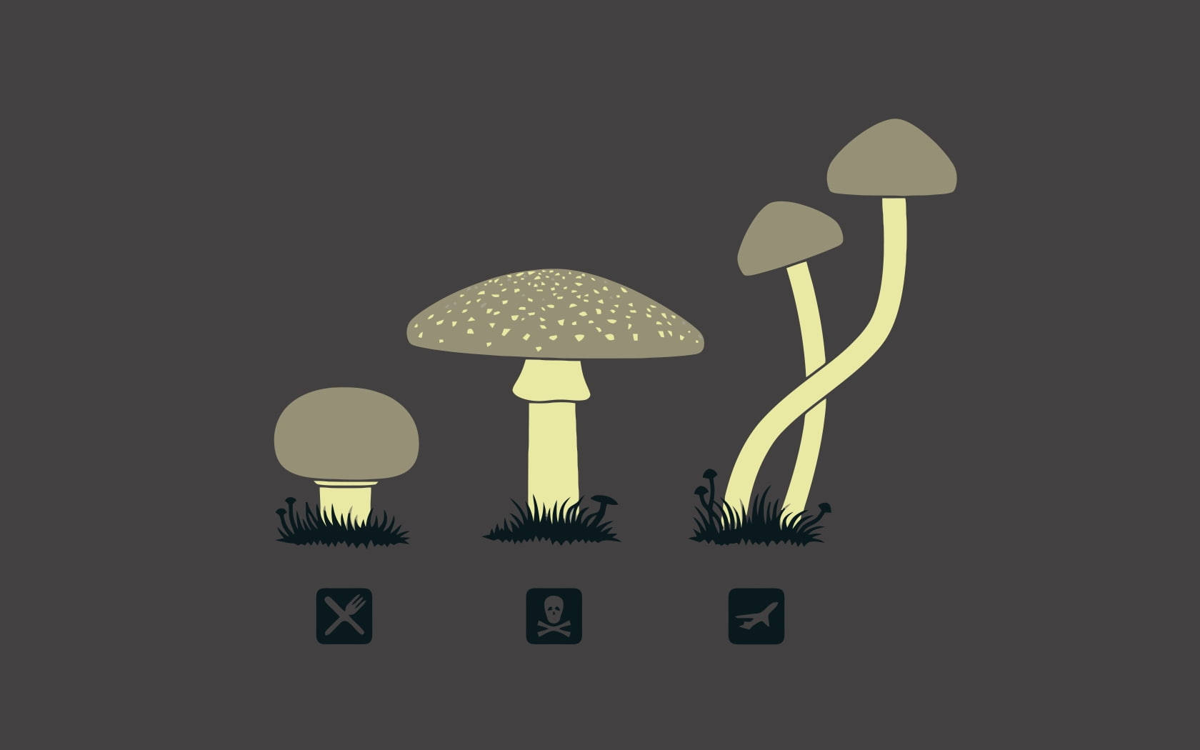Funny Desktop Mushrooms Wallpaper