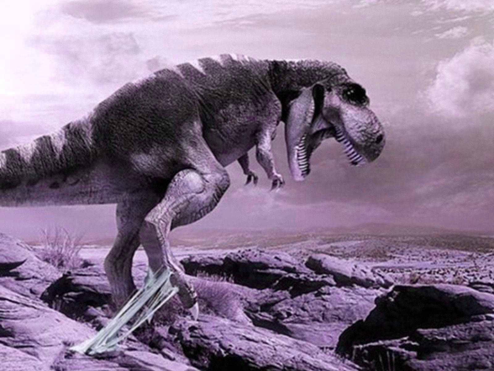 A T - Rex Is Walking On A Rock With A Purple Sky Wallpaper