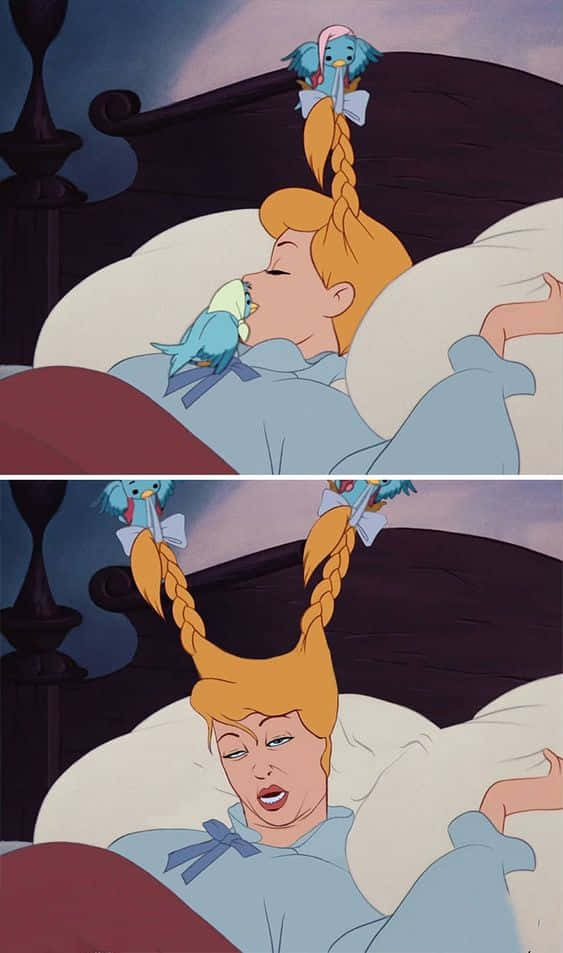 Sjov Disney Cinderella med fuglebillede