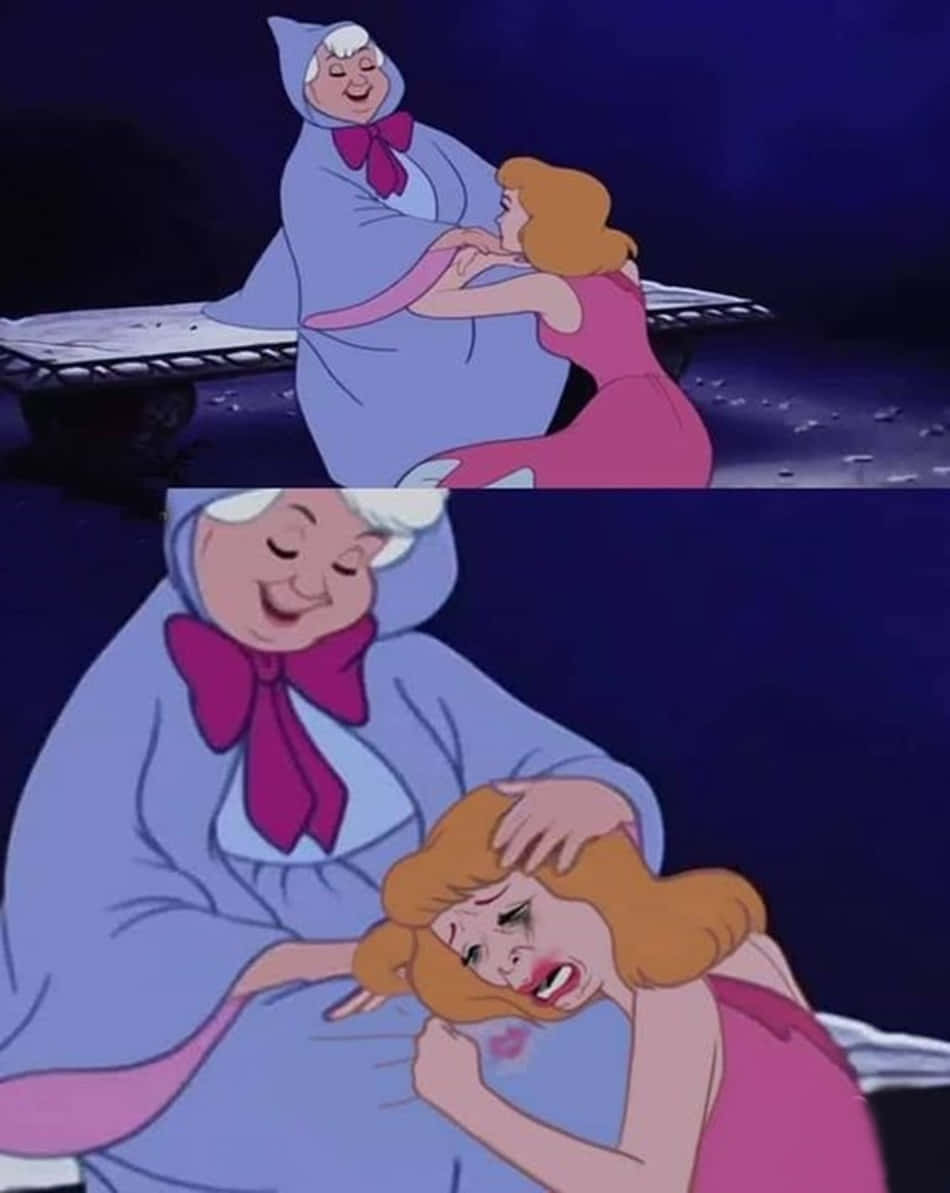 Witzigesbild Von Disney's Cinderella, Wie Sie Weint.