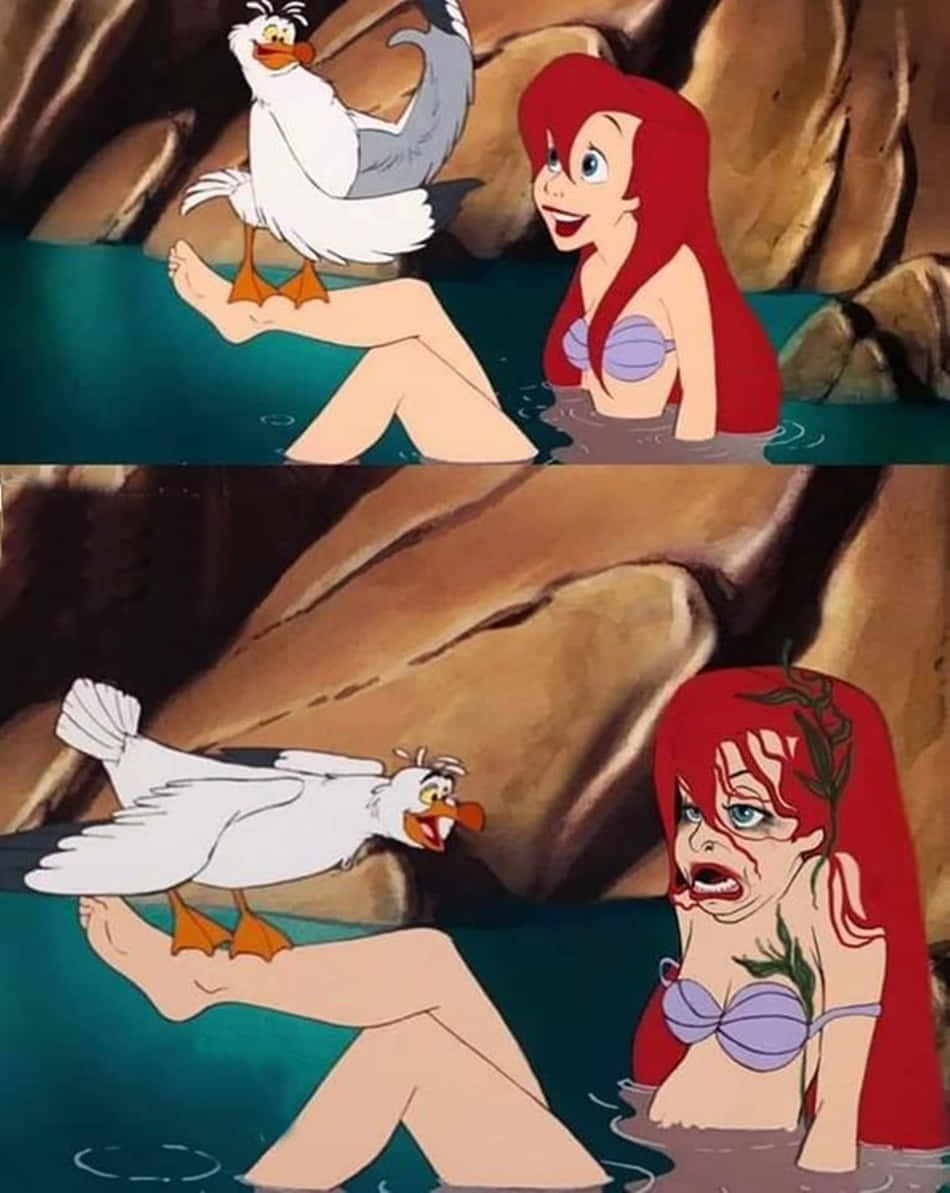 Aspettativavs Realtà Immagine Divertente Di Ariel Di Disney