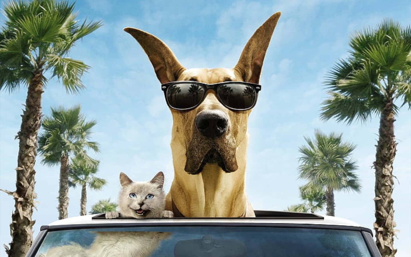 Funny Dog And Cat Picture Marmaduke Film Picture