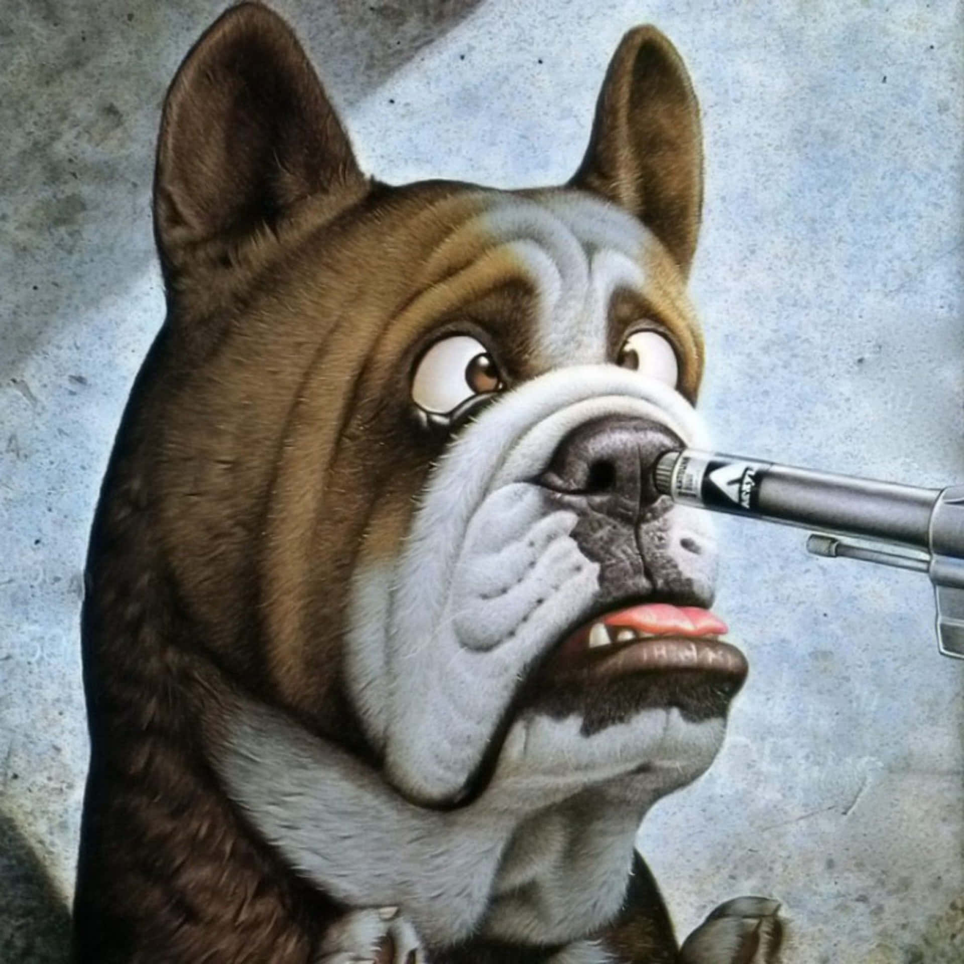 Download Funny Dog Looks Onto Weapon Wallpaper 