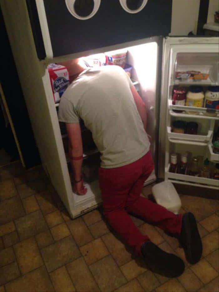 Sjove berusede mand i køleskab billeder