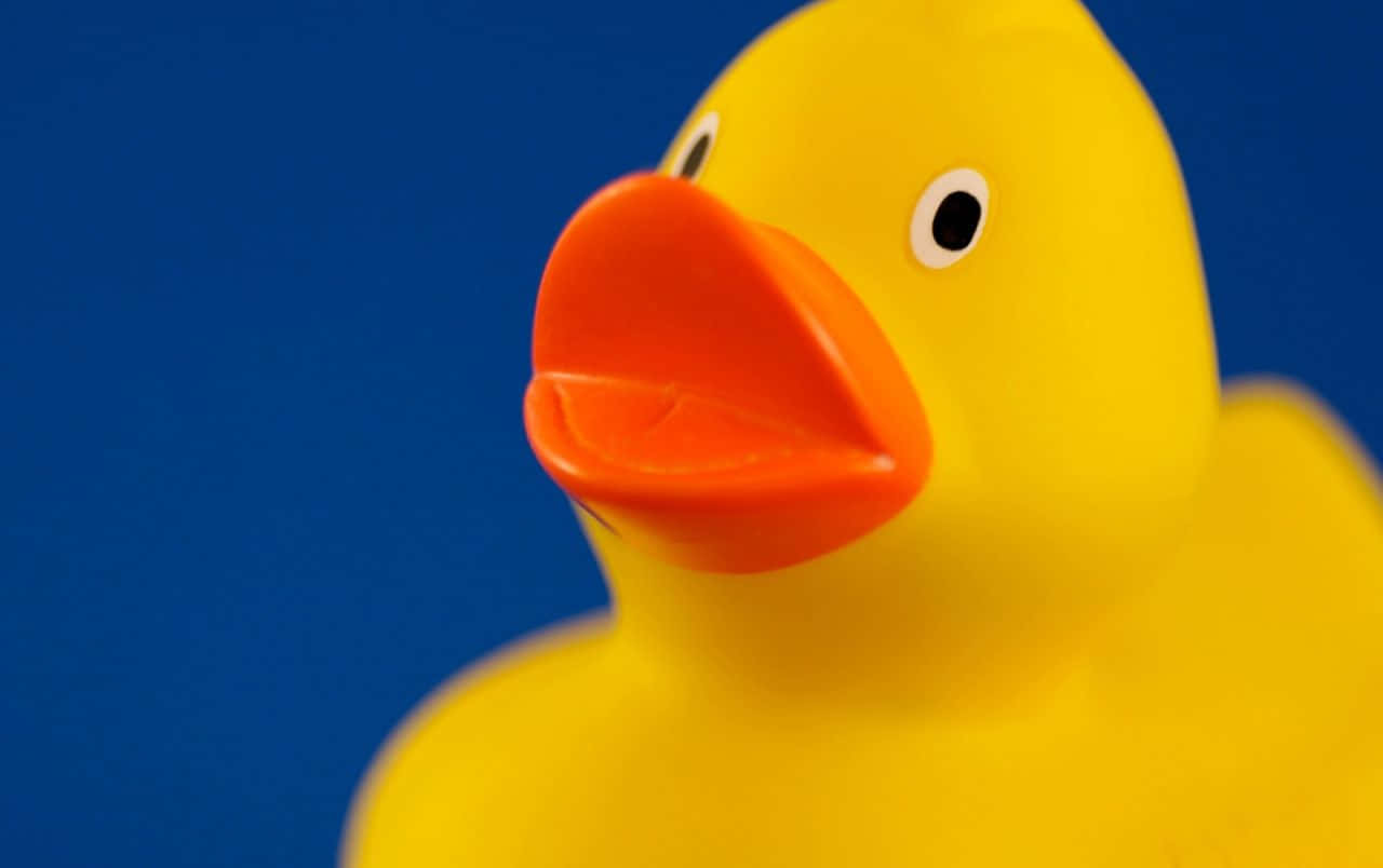 Funny Rubber Duck Shocked Reaction Face Pictures