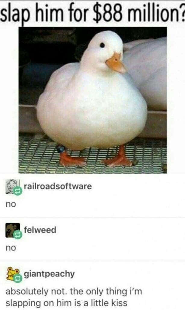 Funny Duck Slap Him Meme Pictures
