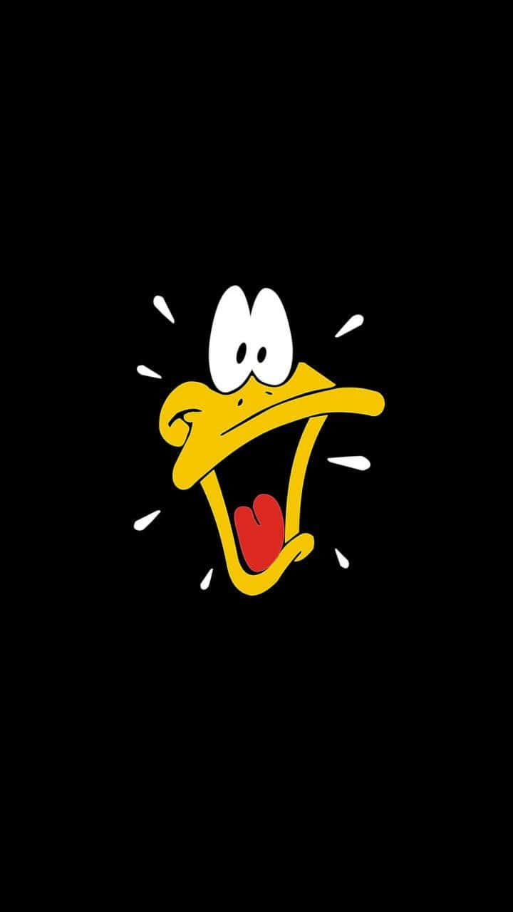 Funny Duck Daffy Duck Smiling Pictures
