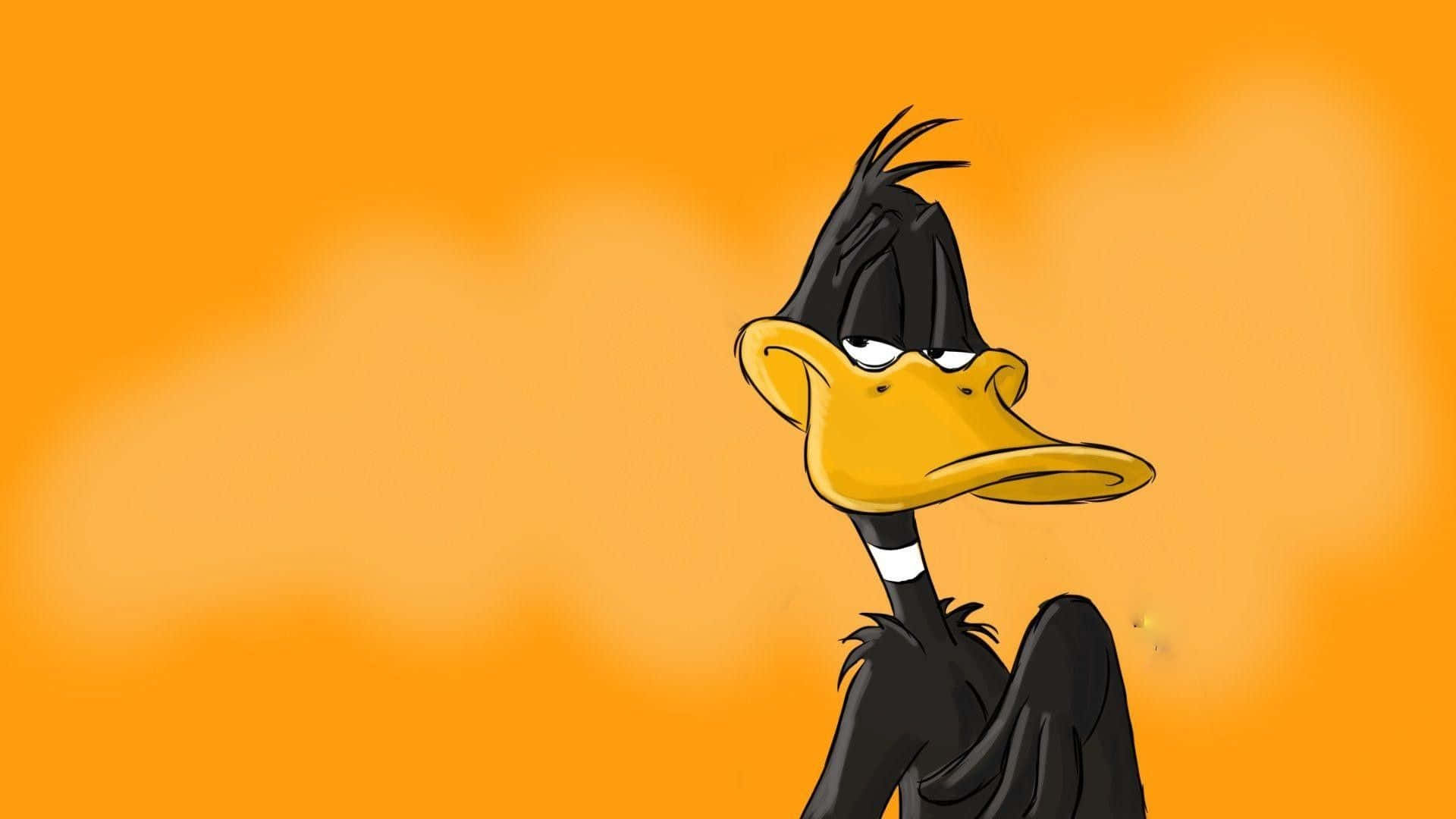 Funny Daffy Duck Smirk Smile Cartoon Pictures