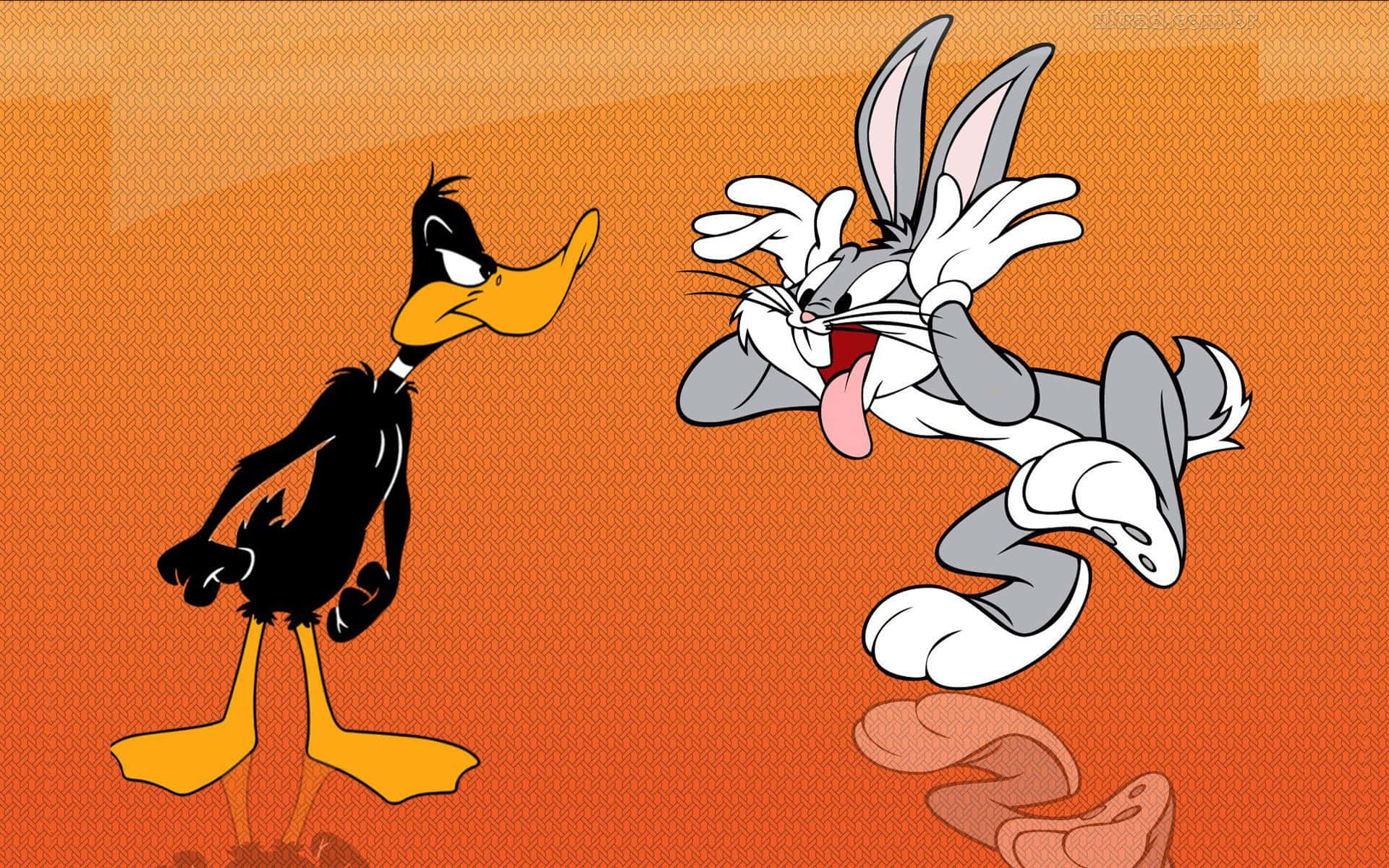 Funny Daffy Duck Annoyed At Bugs Bunny Pictures
