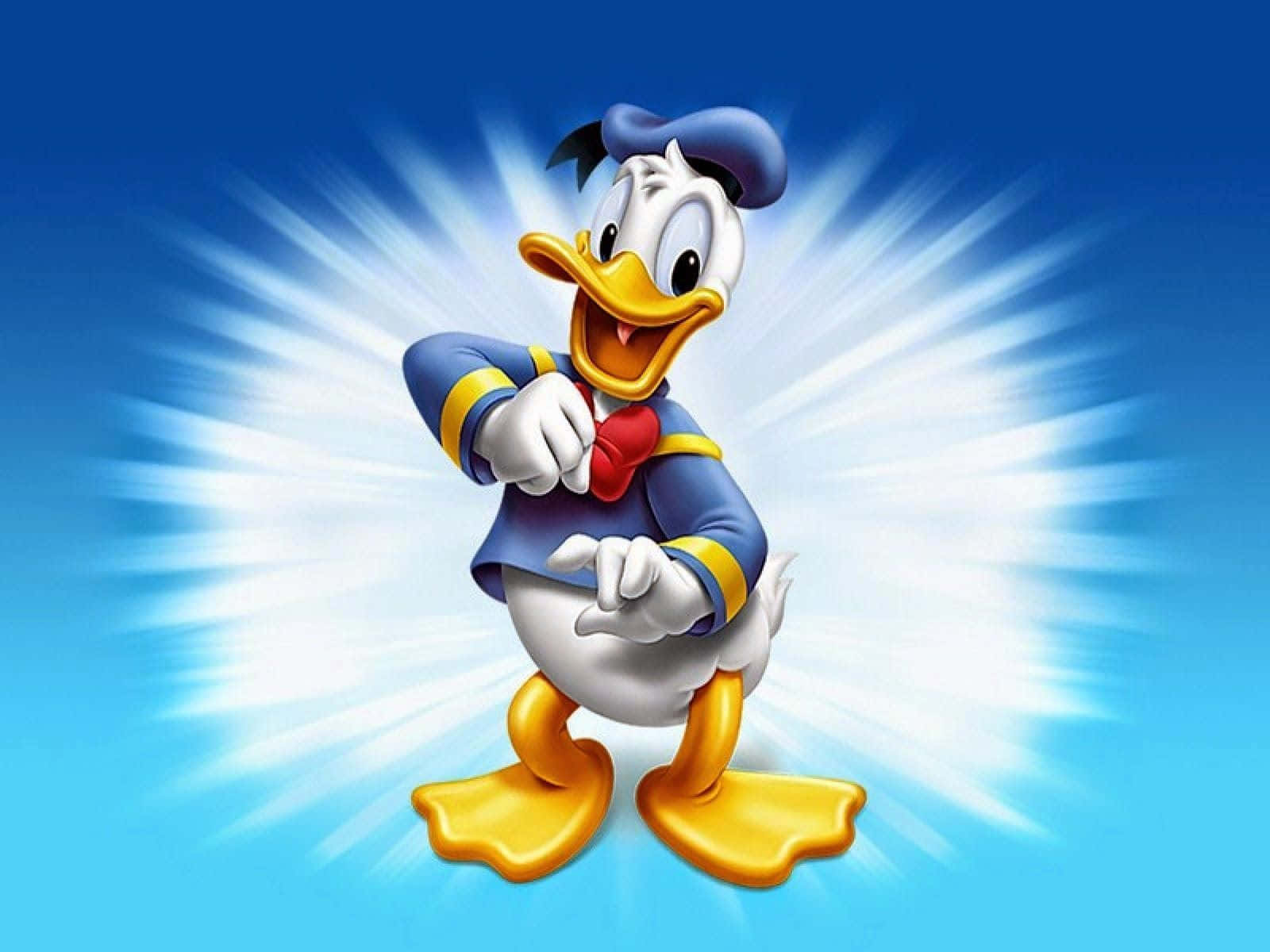 Funny Donald Duck Cartoon Art Smiling Pictures