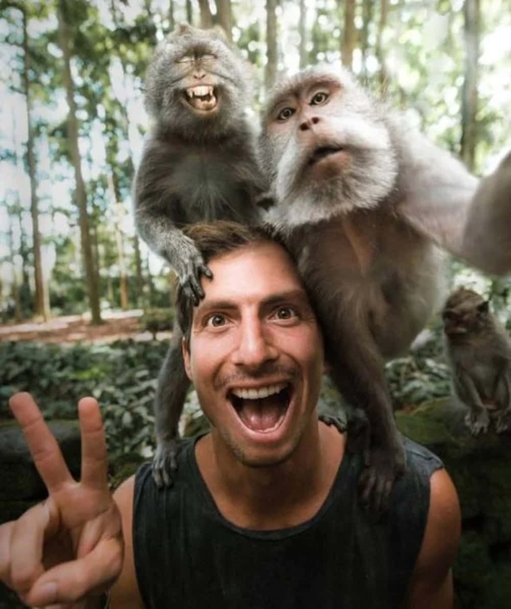 Funny Dumb Monkeys And Man Picture