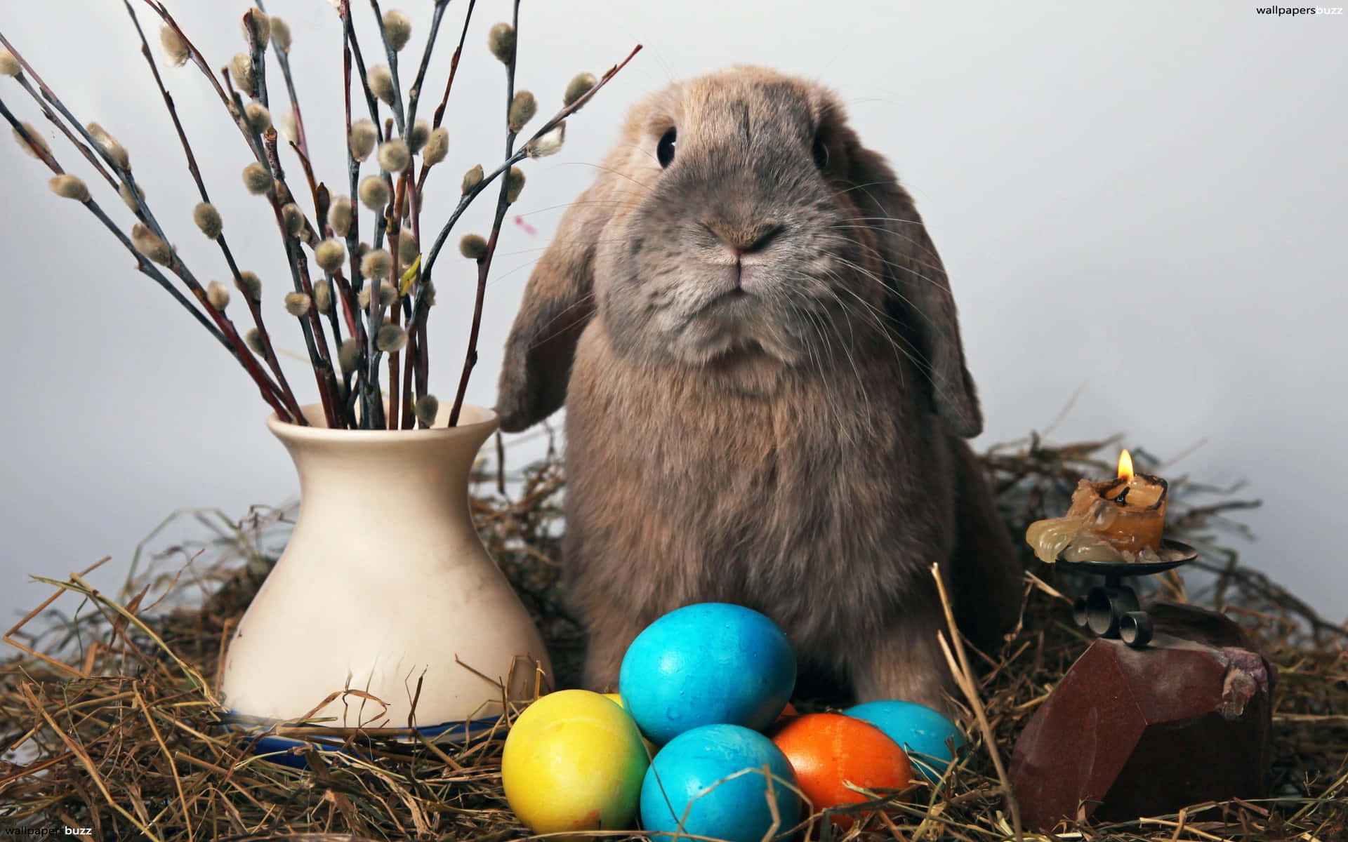 Sjov påske kanin og æg på redekasse billede