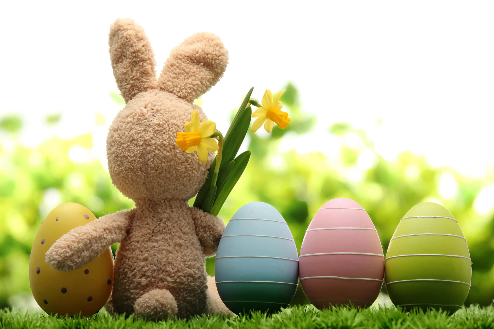 Funny Easter Bunny And Pastel Eggs Picture