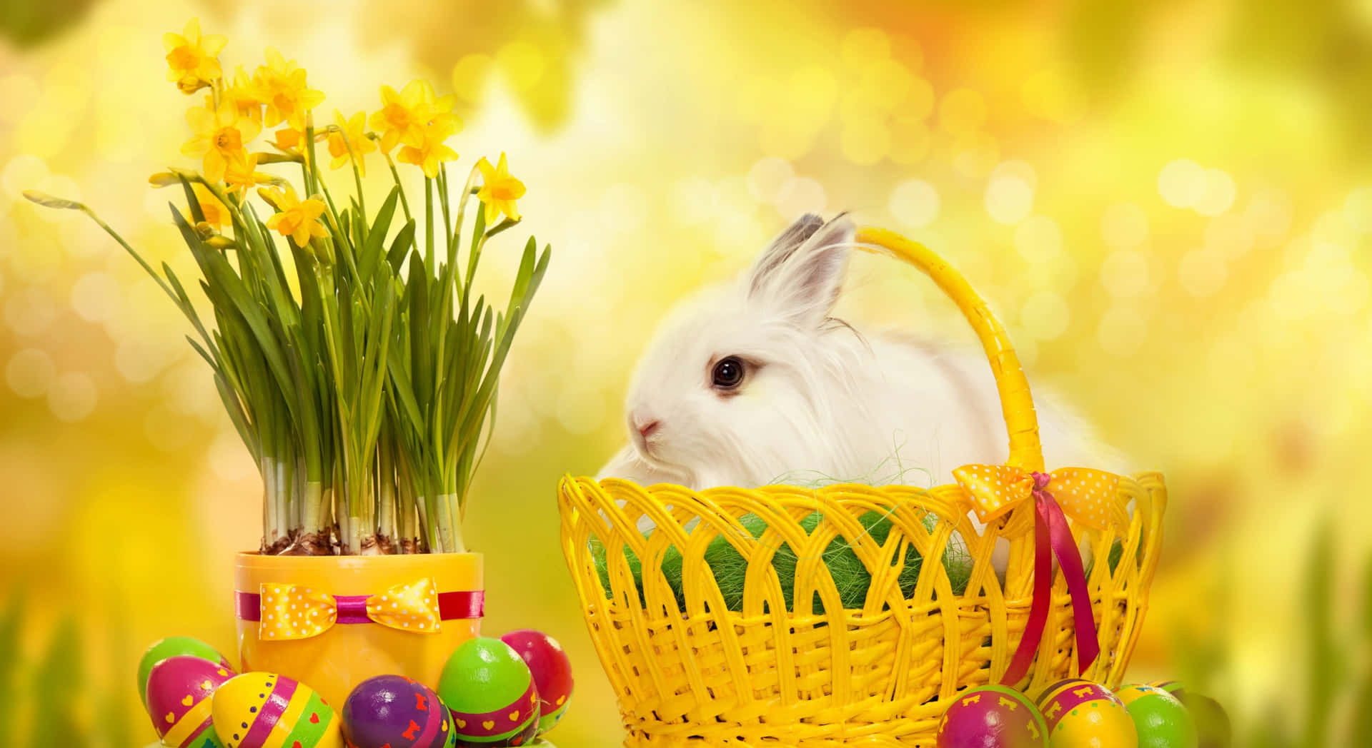 Fotodivertente Di Un Coniglio Di Pasqua Sul Cestino