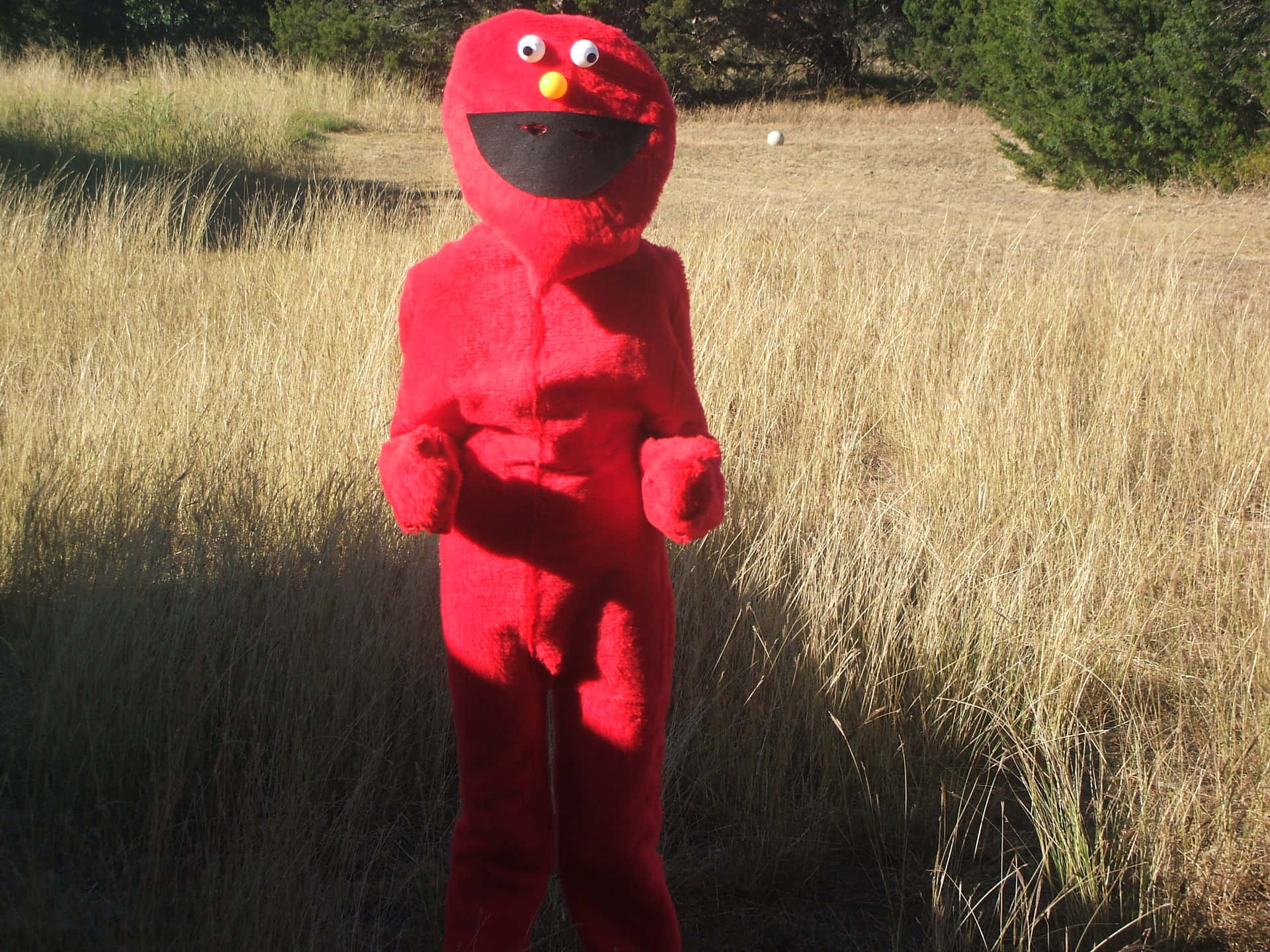 Funny Elmo Creepy Costume In Grass Picture