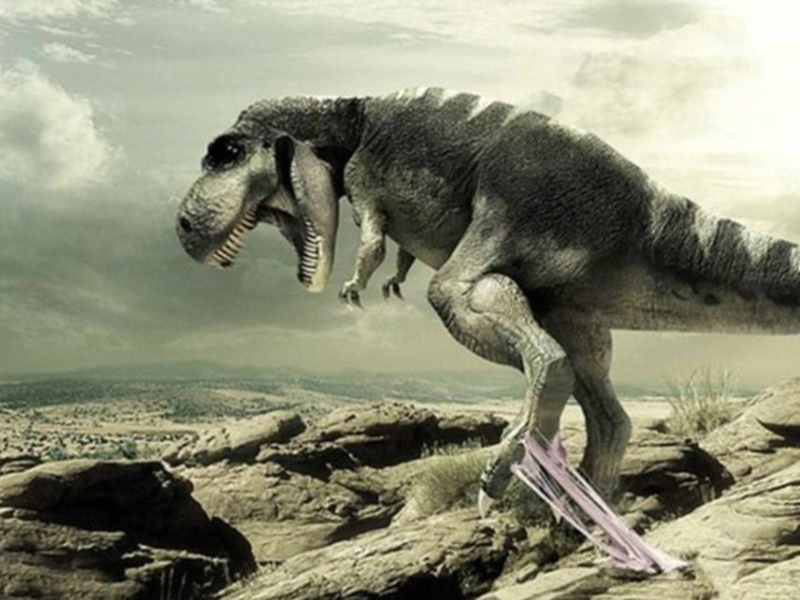 Jurassic Jokes Wallpaper