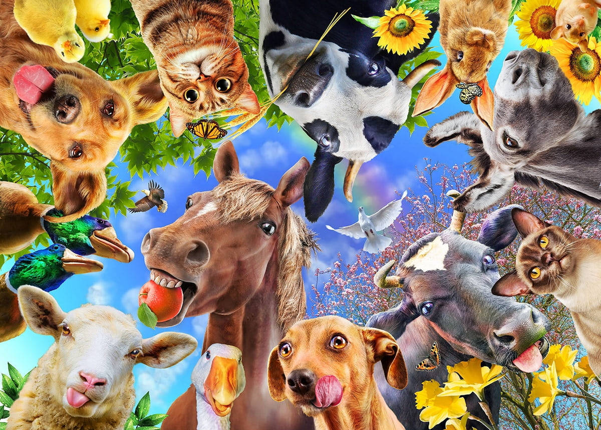 Funny Farm Animals Wacky Faces Wallpaper