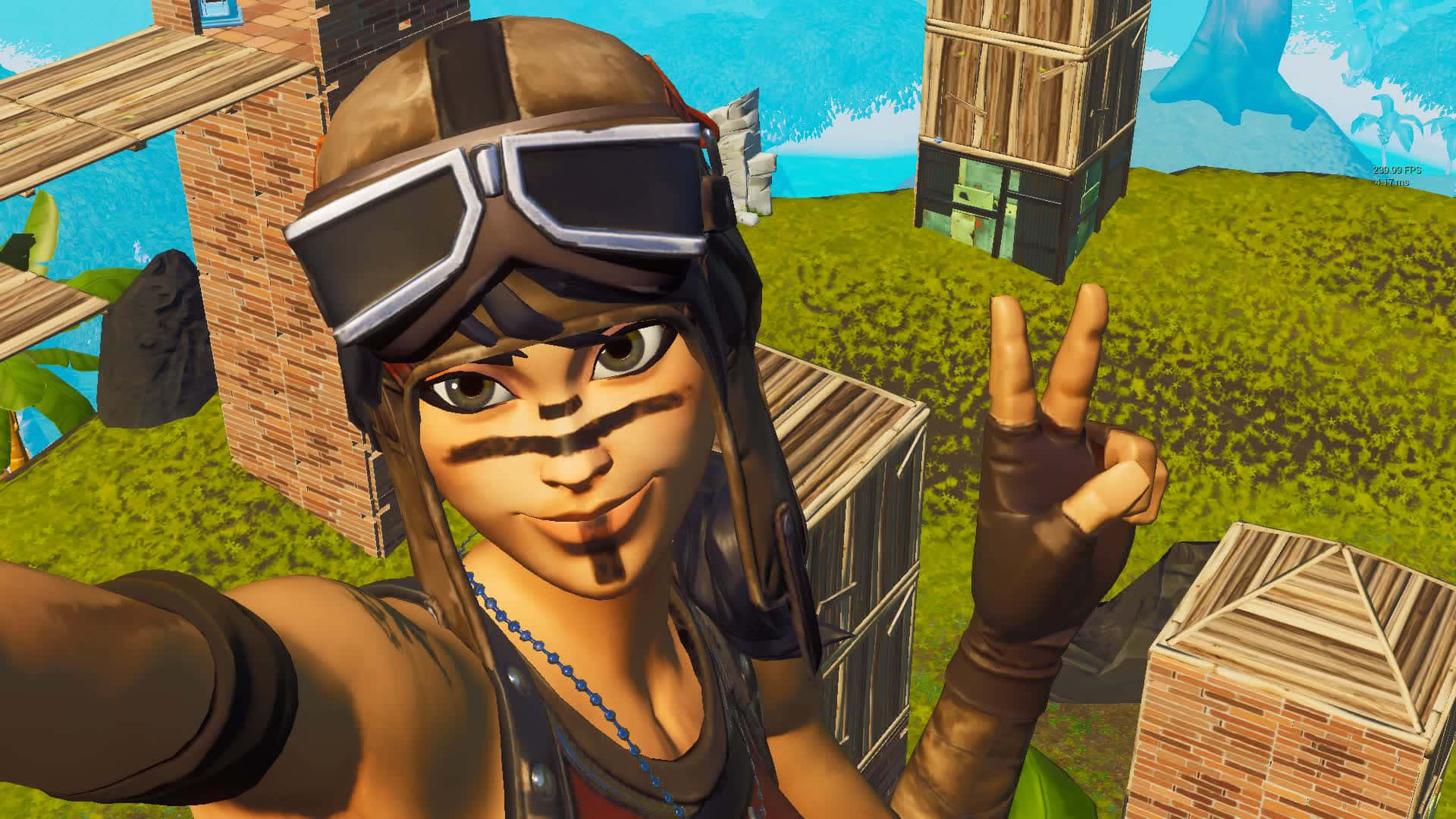 Funny Fortnite Peace Sign Picture