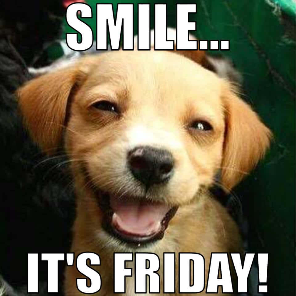 Download Smile It's Friday Funny Friday Picture | Wallpapers.com
