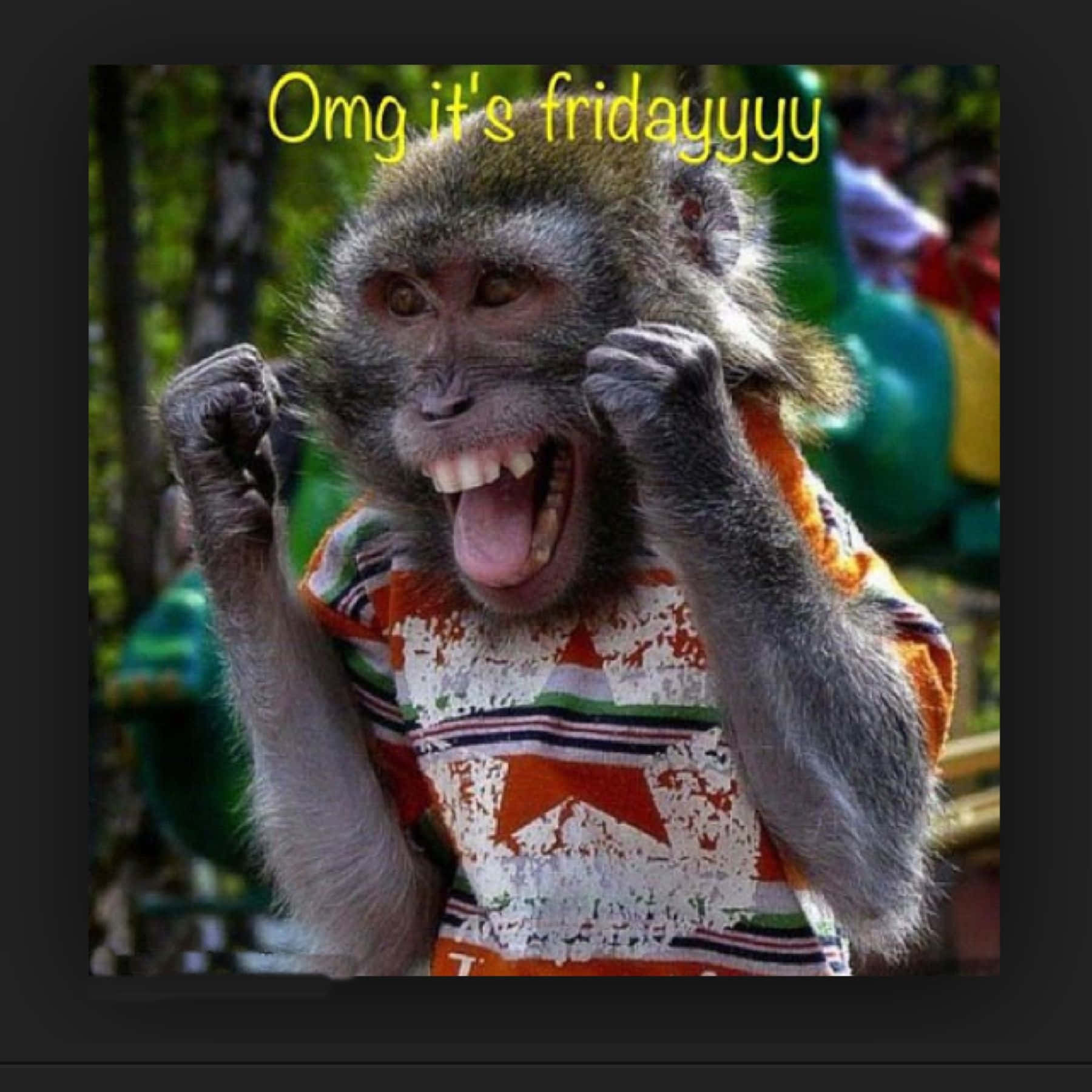 OMG It's Friday Monkey Funny Friday Picture