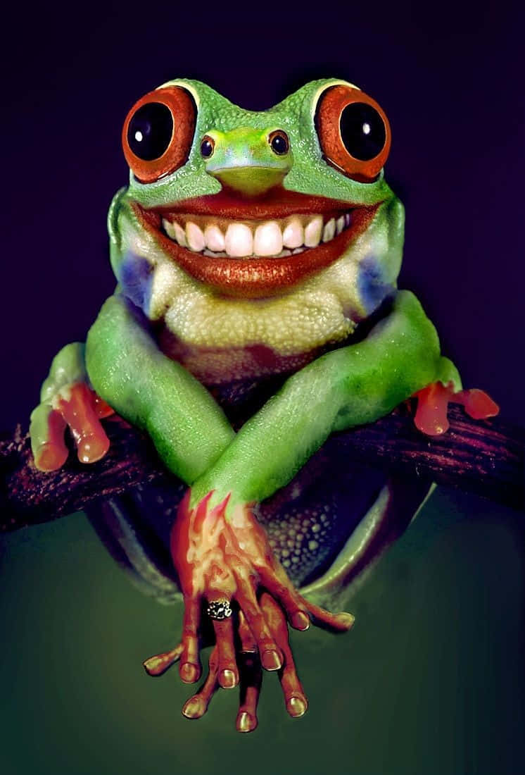 Funny Frog With Finger Ring Pictures