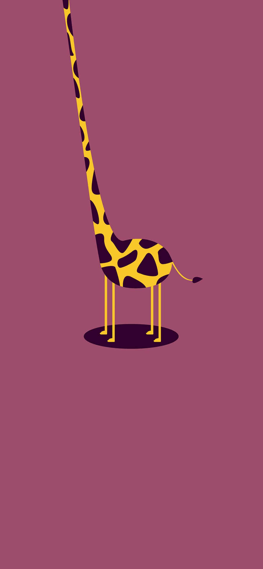 Rolig Giraff 1125 X 2436 Wallpaper