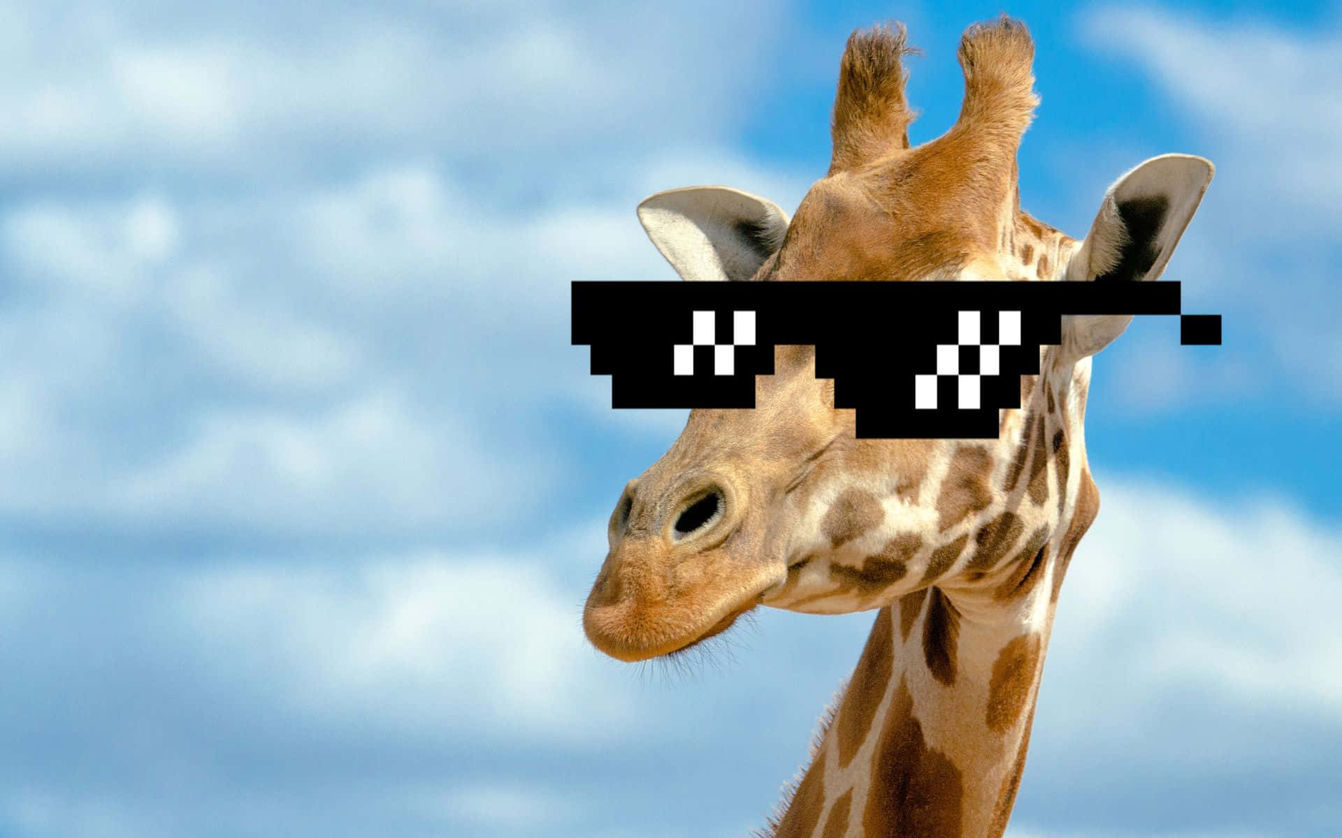Sjov Giraf Bærer 8 Bit Solbriller Wallpaper