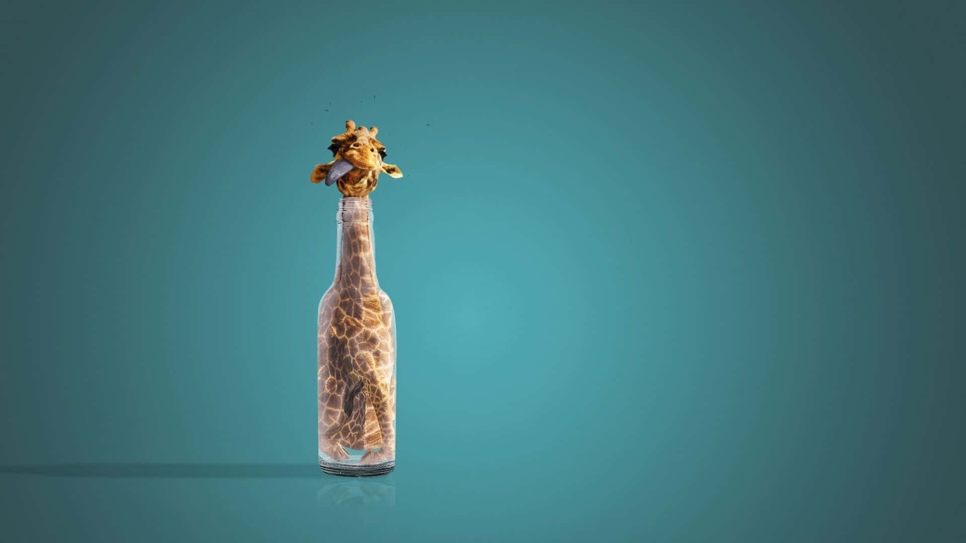 Giraffadivertente Intrappolata In Una Bottiglia Di Vetro. Sfondo