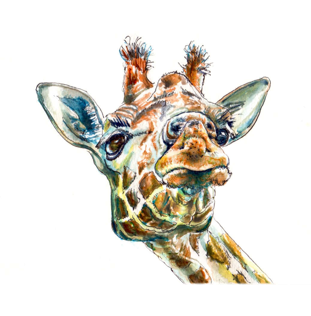 Funny Giraffe Colorful Sketch Picture