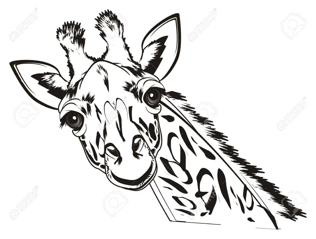 Lustigesdigitales Skizzenbild Einer Giraffe