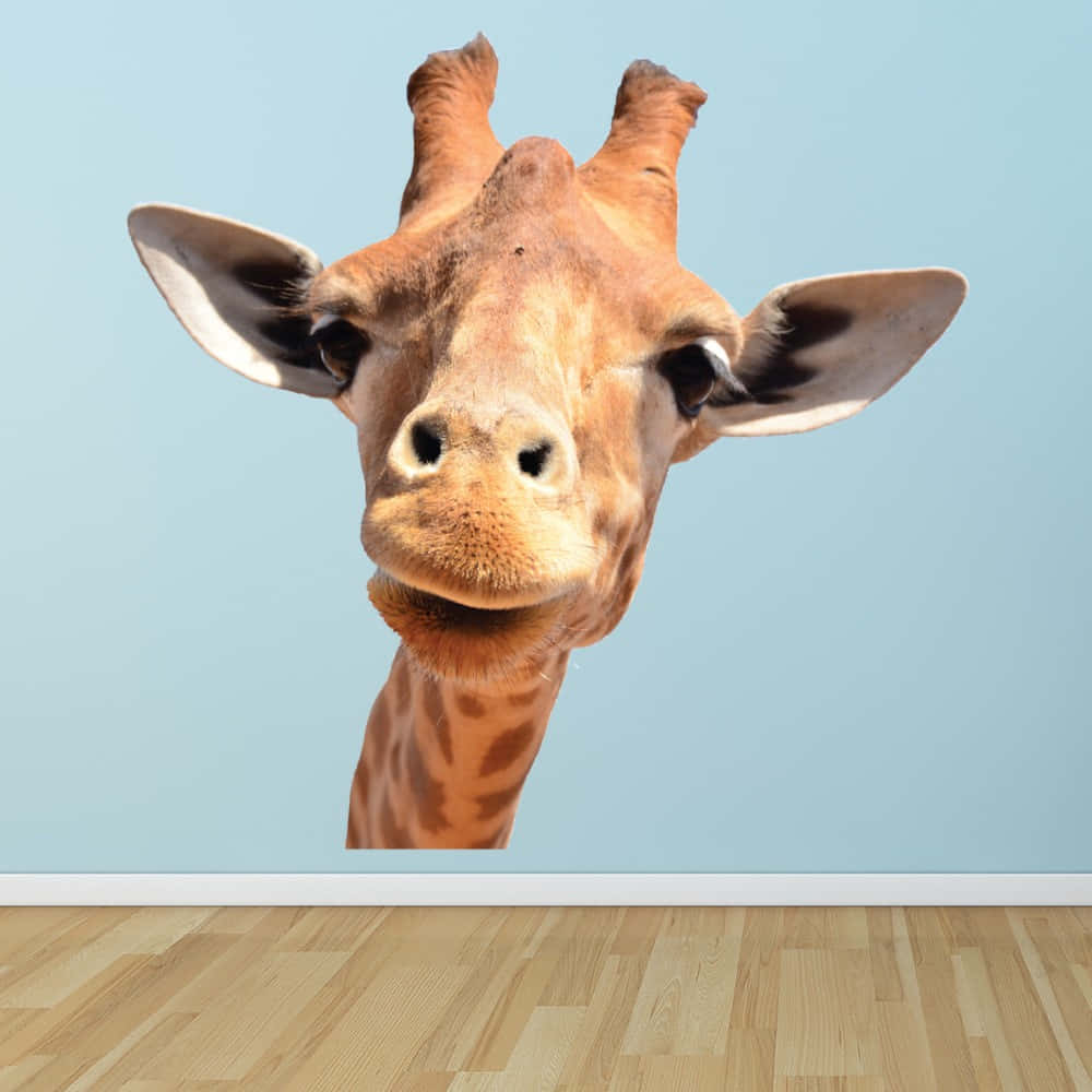 Funny Giraffe On Blue Wall Picture