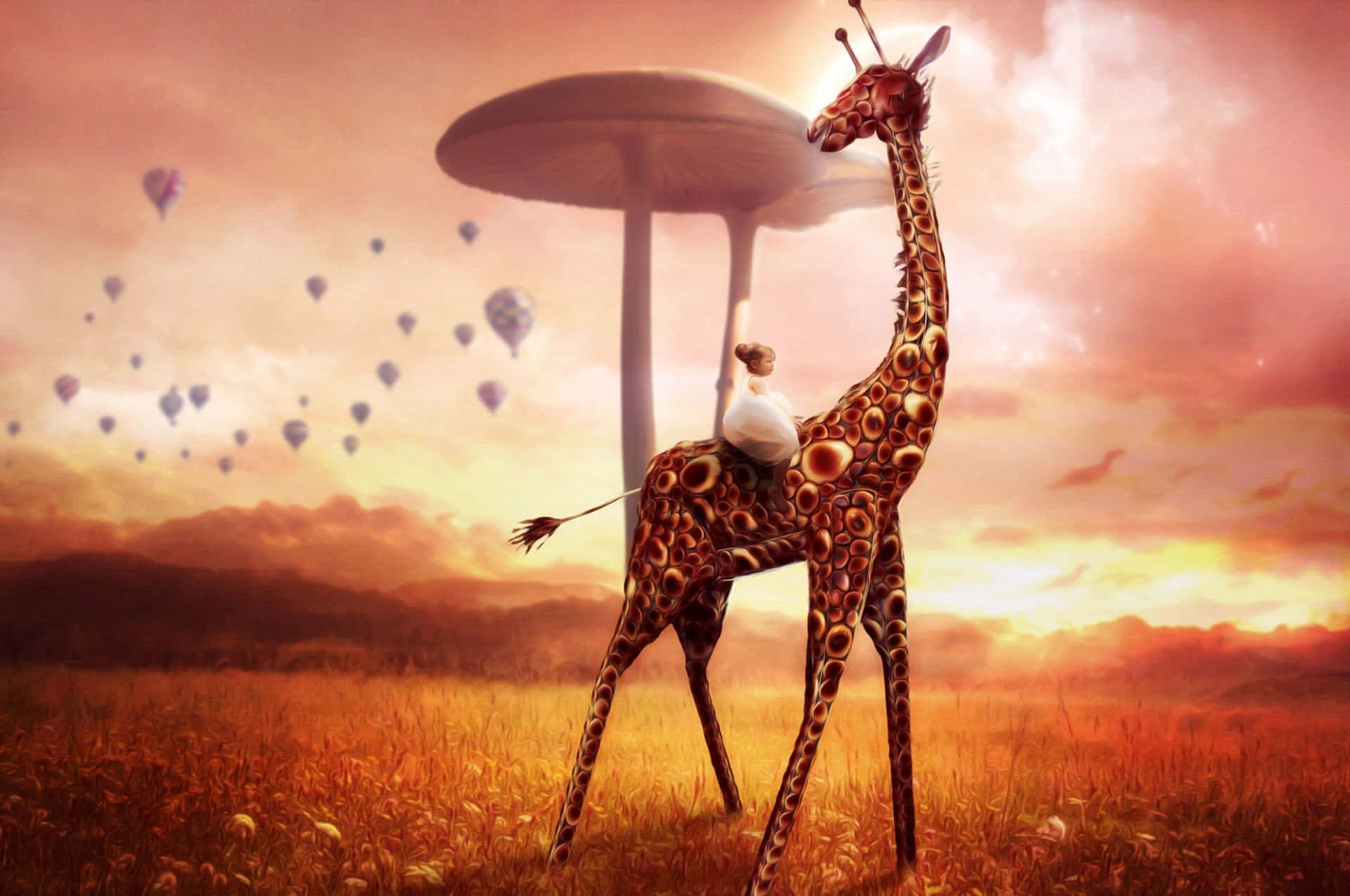 Funny Giraffe Mushroom Sunset Picture