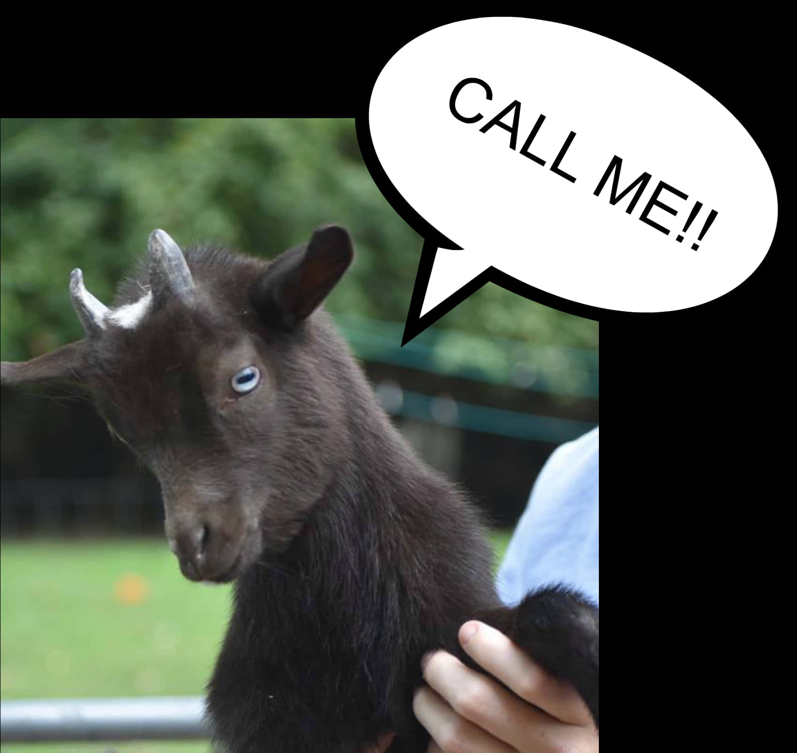 Funny Goat With Call Me Speech Bubble PNG