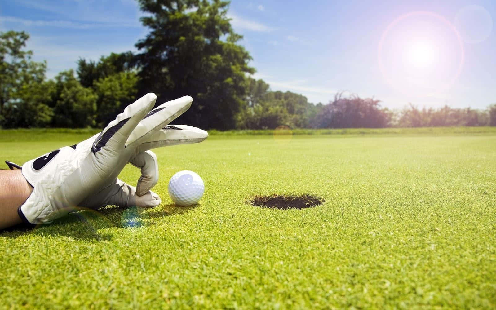 Funny Golf Pictures 1600 X 1000 Picture
